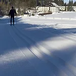 Forstmeister 3*
