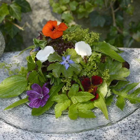 Hotel Forstmeister 3*