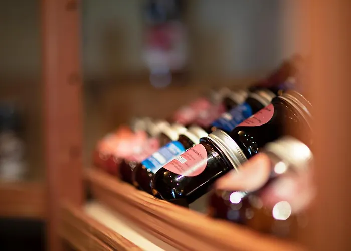 Hotel Forstmeister 3*