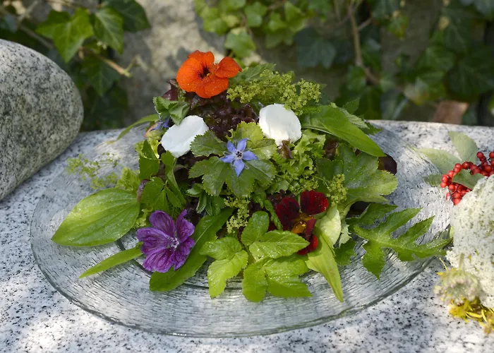 Hotel Forstmeister 3*